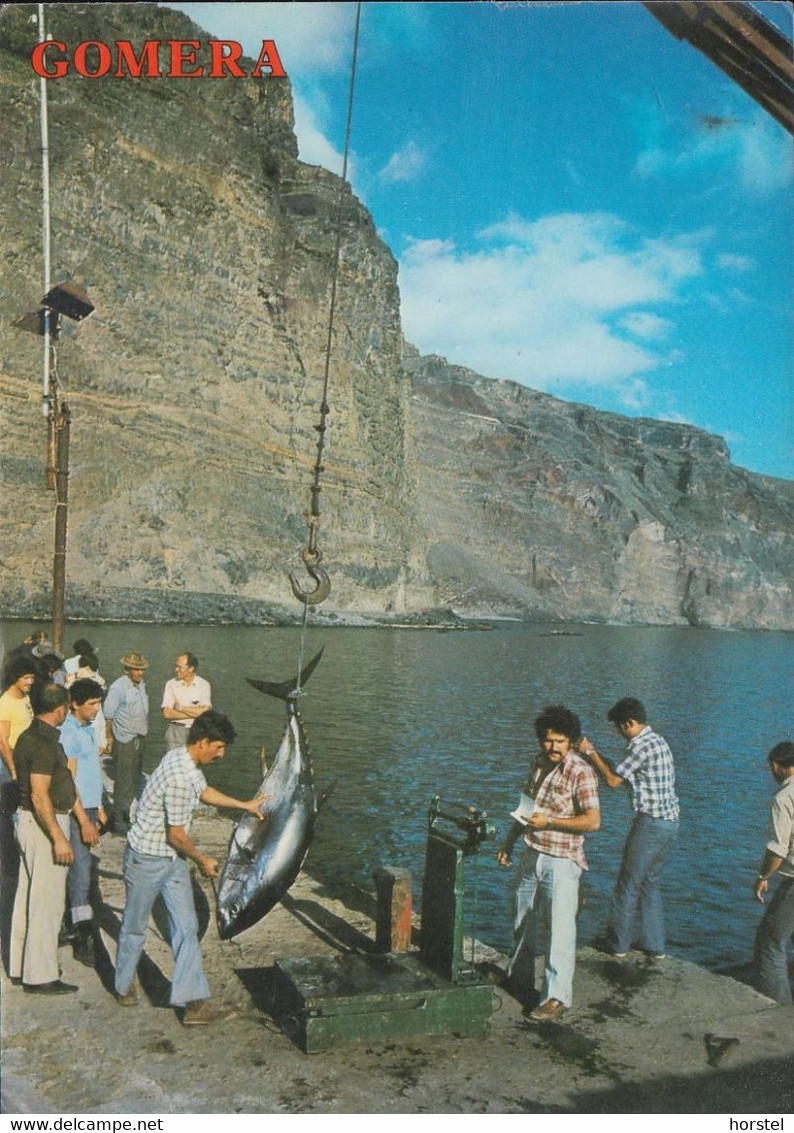 Spanien - Gomera - Valle Gran Rey - Fishing - Harbour - Thunfisch - Fischer Am Hafen (Nachgebühr ! ) - Gomera