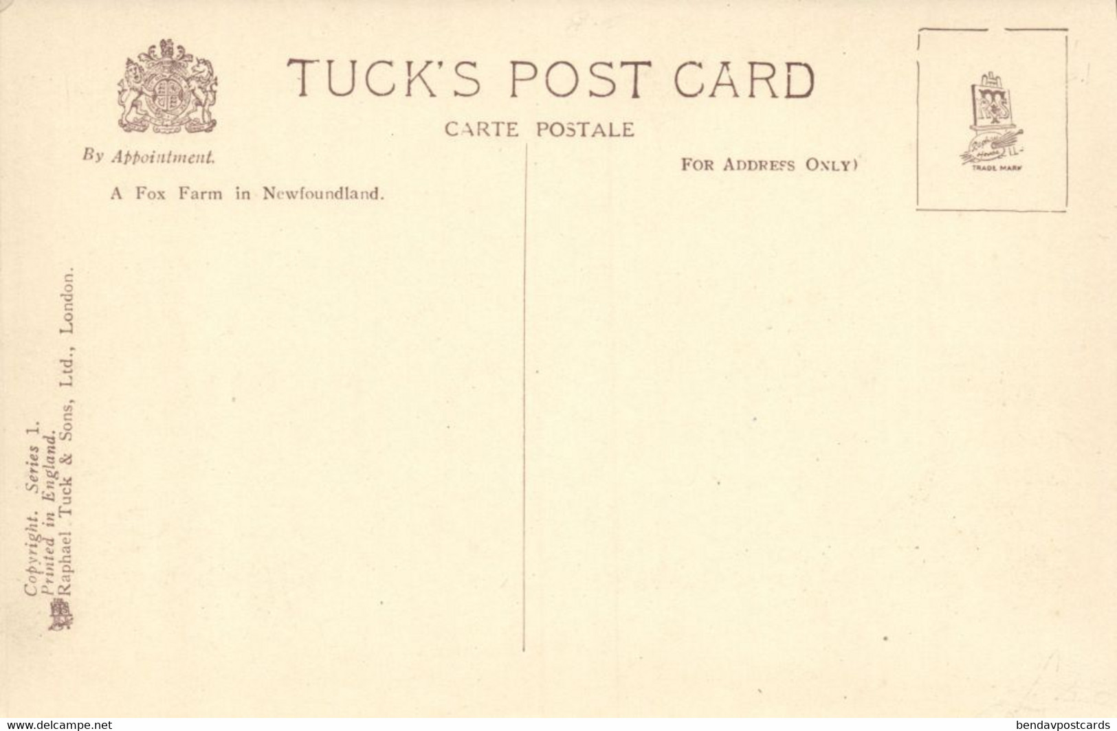 Canada, Newfoundland, Fox Farm (1920s) Raphael Tuck Postcard - Other & Unclassified