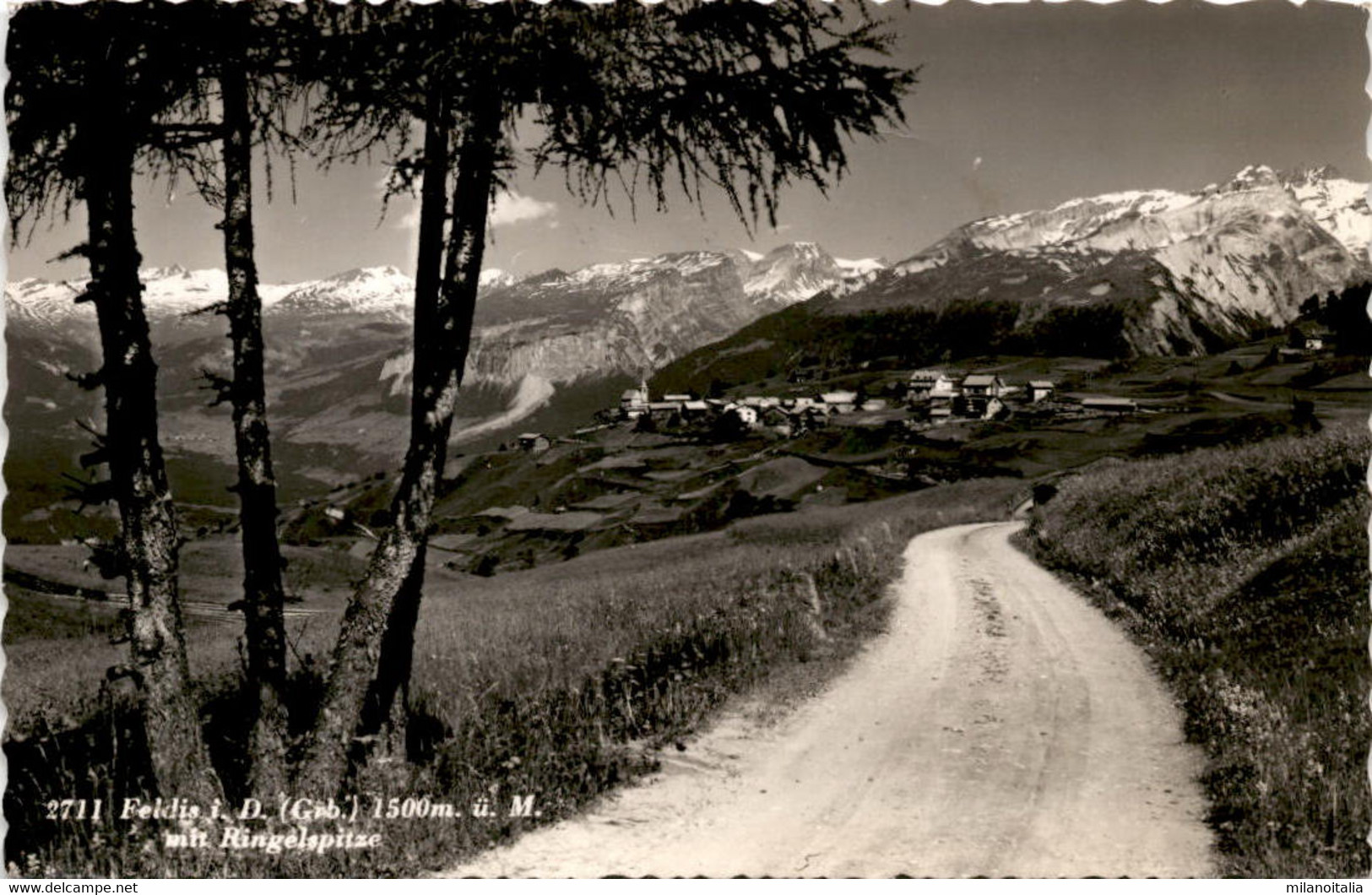 Feldis I. D. Mit Ringelspitze (2711) - Feldis/Veulden