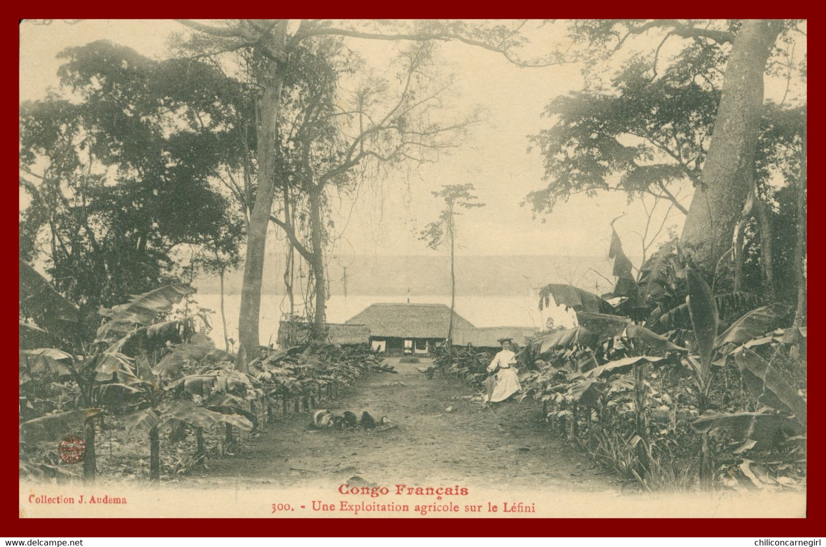 * Cp En F.M. - CONGO FRANCAIS - Exploitation Agricole Sur Le Léfini - Animée - 300 - Collection AUDEMA - 1917 - Congo Français