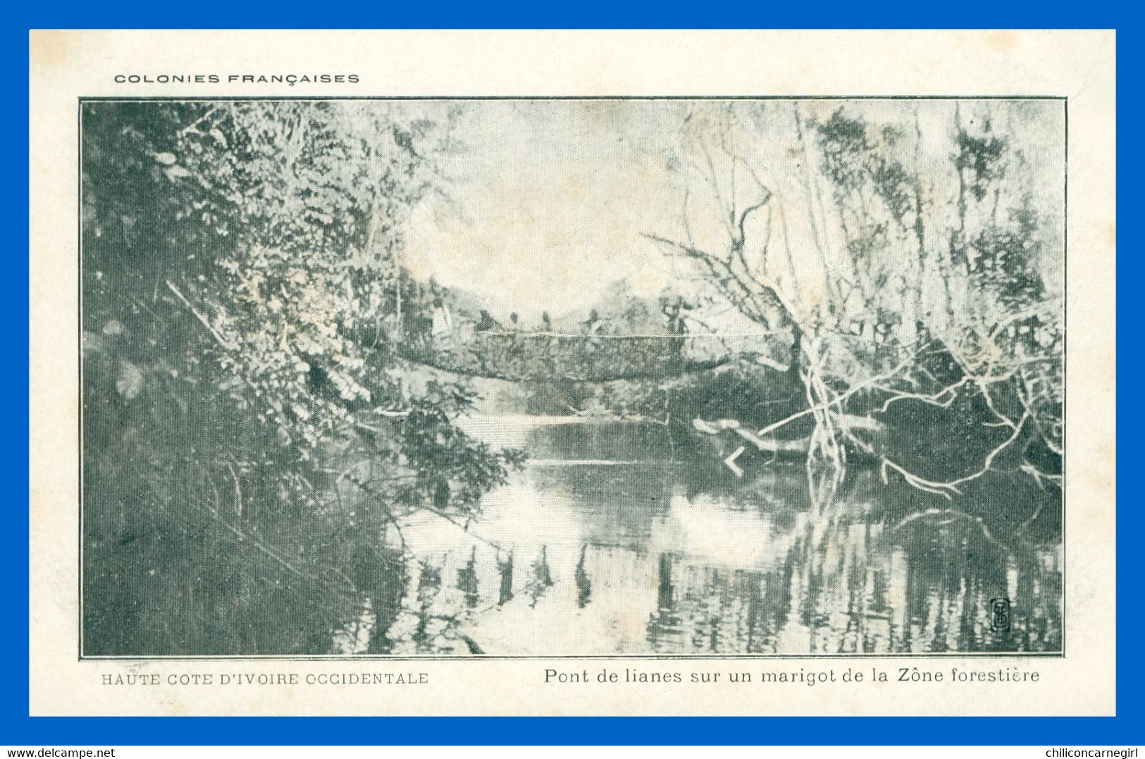 * HAUTE COTE D'IVOIRE OCCIDENTALE - Pont De Lianes Sur Un Marigot De La Zone Forestière - Côte-d'Ivoire