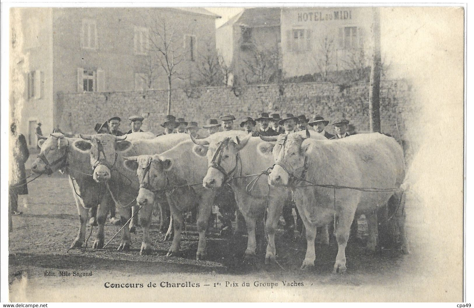 71   CHAROLLES   CONCOURS DE CHAROLLES  1e  PRIX  DU  GROUPE  VACHES - Charolles