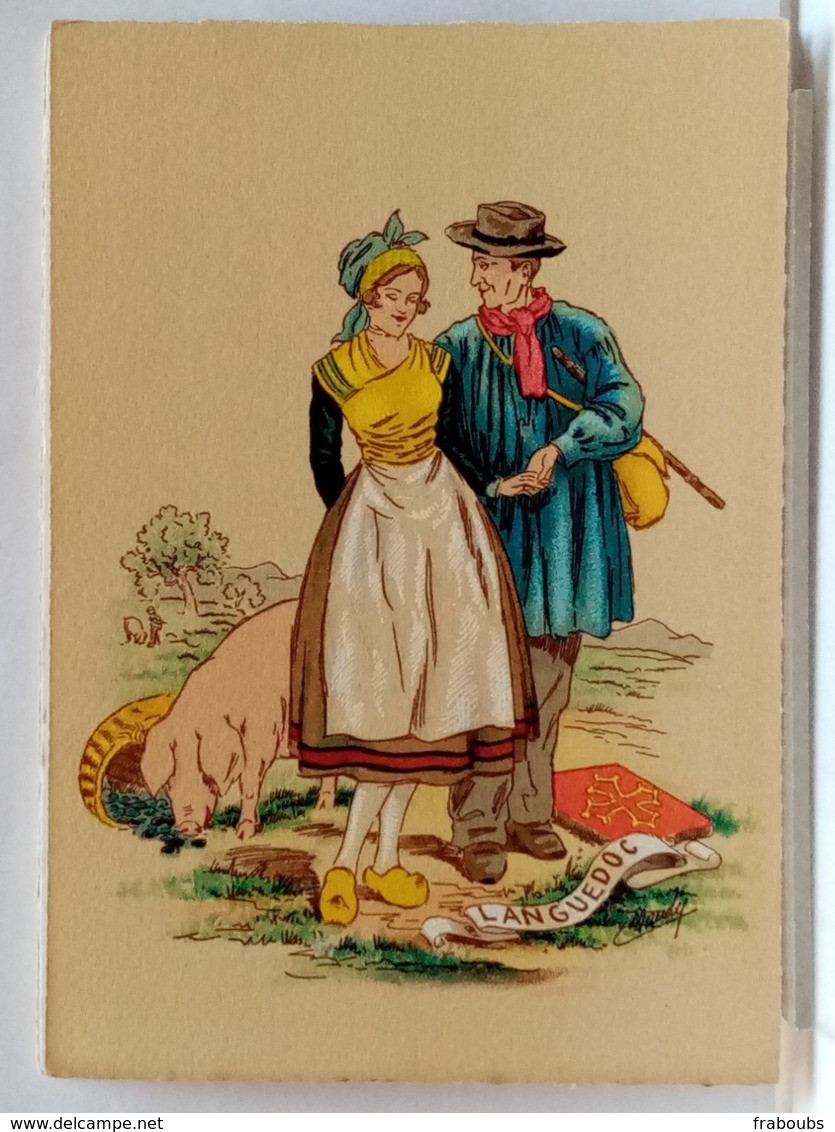 LANGUEDOC - FOLKLORE - COSTUME - COIFFE - COCHON - COUPLE - BLASON - ILLUSTRATION NAUDY - BARRE DAYEZ 1187 M - Naudy