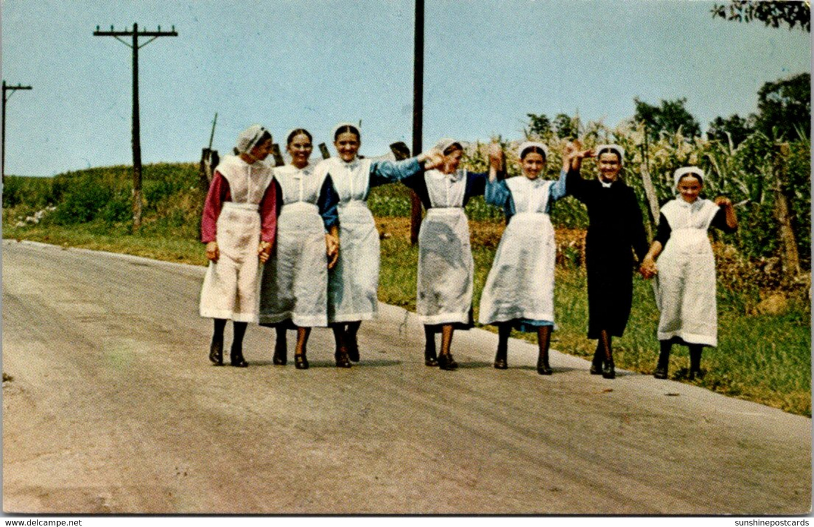 Pennsylvania Amishland Seven Amish Girls In Colorful Garb - Lancaster