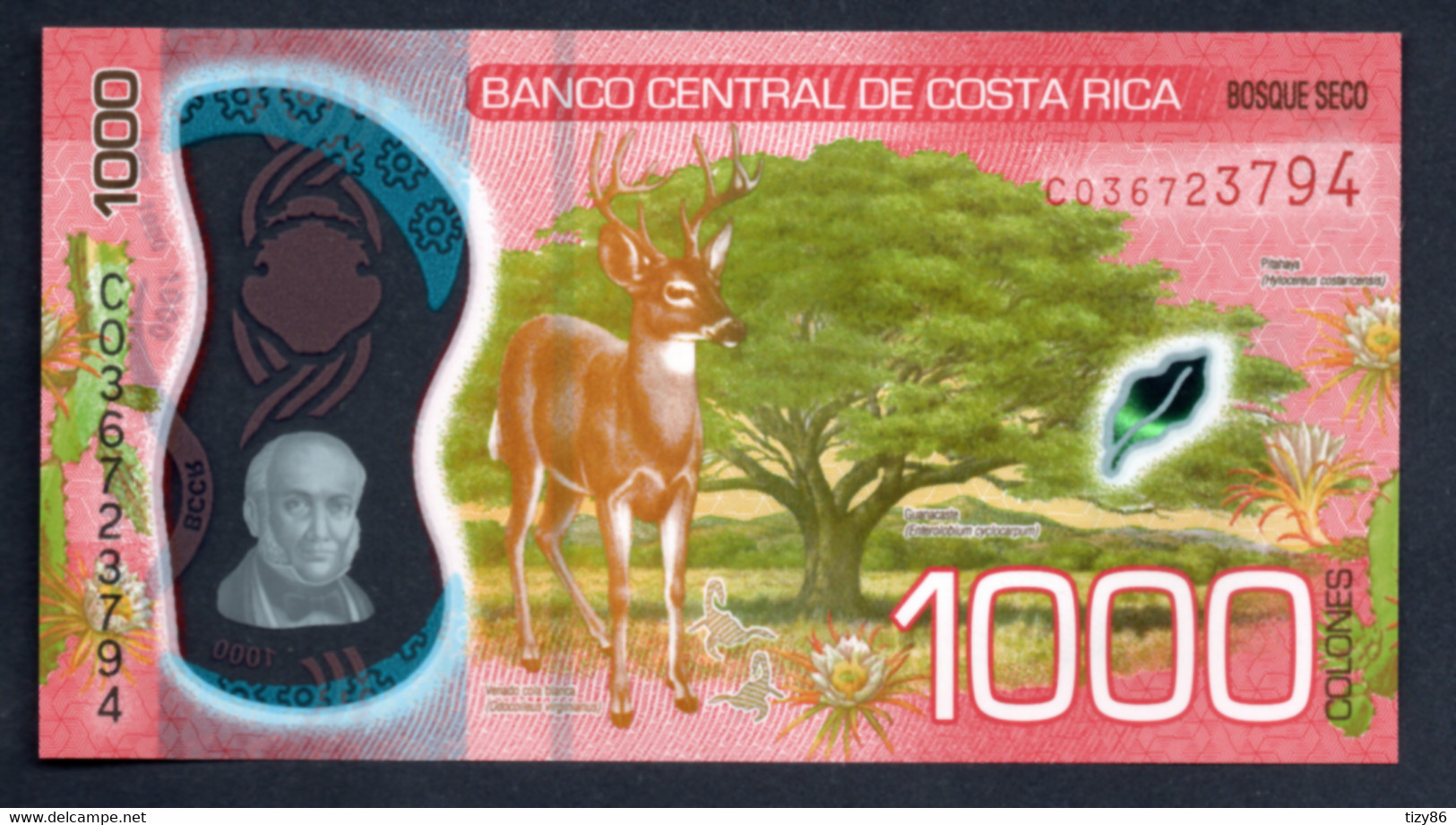 Banconota Costa Rica - 1000 Colones 2019 (UNC/FDS) - Costa Rica