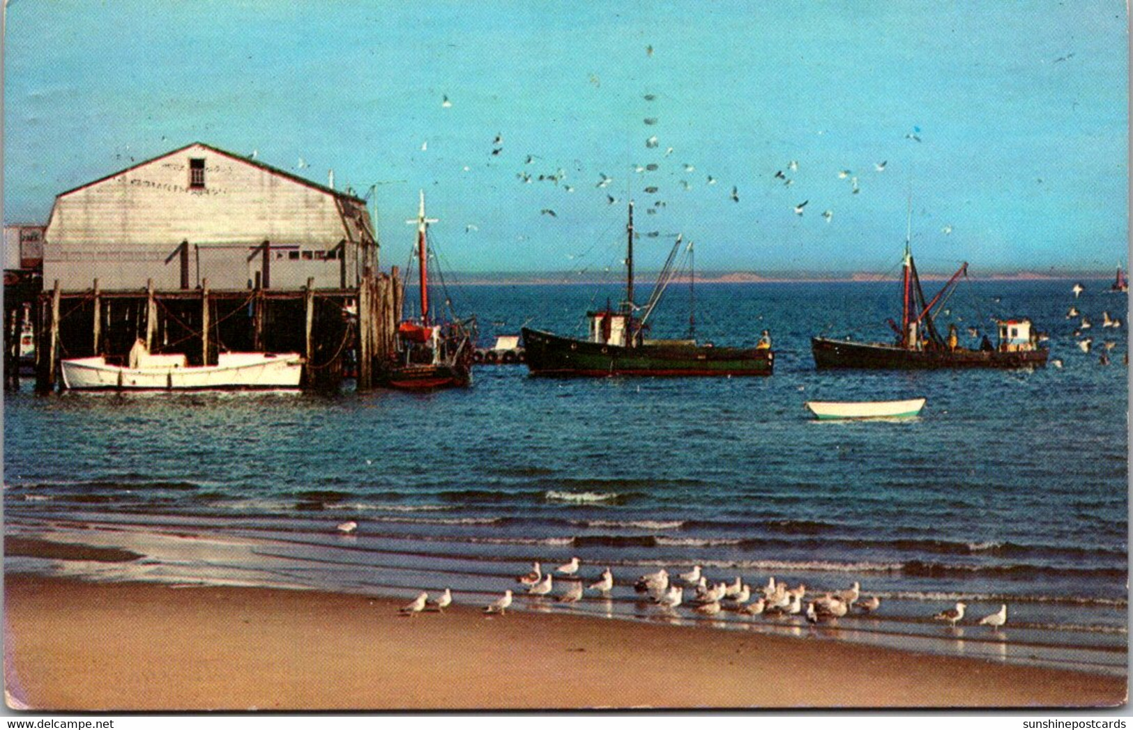 Massachusetts Cape Cod Gulls Boats And Town Wharf 1976 - Cape Cod