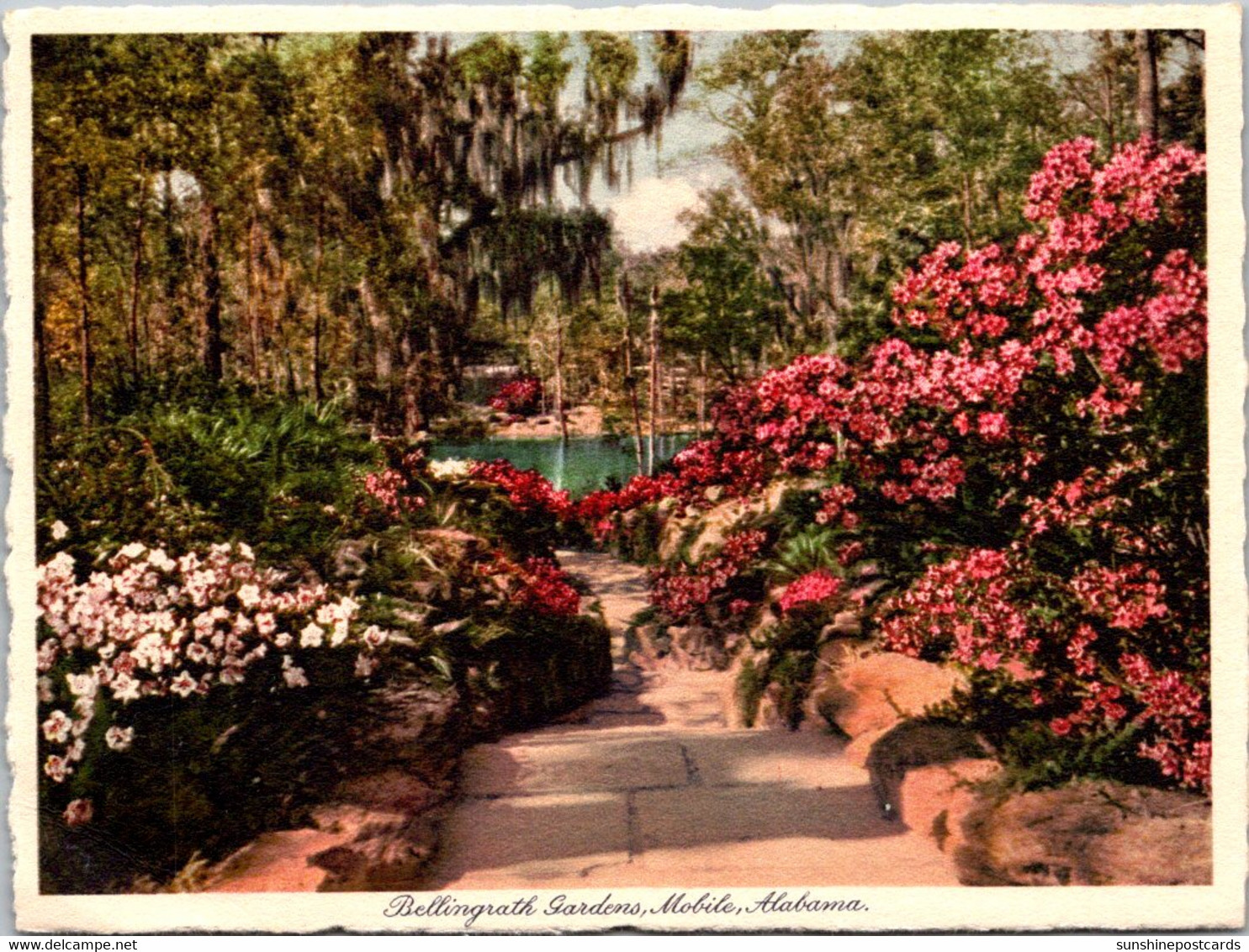 Alabama Mobile Scene In Bellingrath Gardens - Mobile