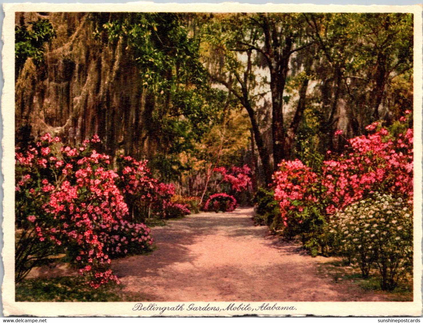 Alabama Mobile Scene In Bellingrath Gardens - Mobile