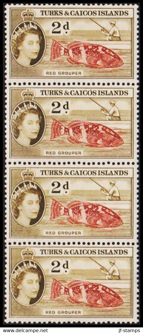 1957. TURKS & CAICOS ISLANDS. Elizabeth Issue 2 D RED GROUPER In -stripe Never Hinged.  (Michel 165) - JF526814 - Turks & Caicos (I. Turques Et Caïques)