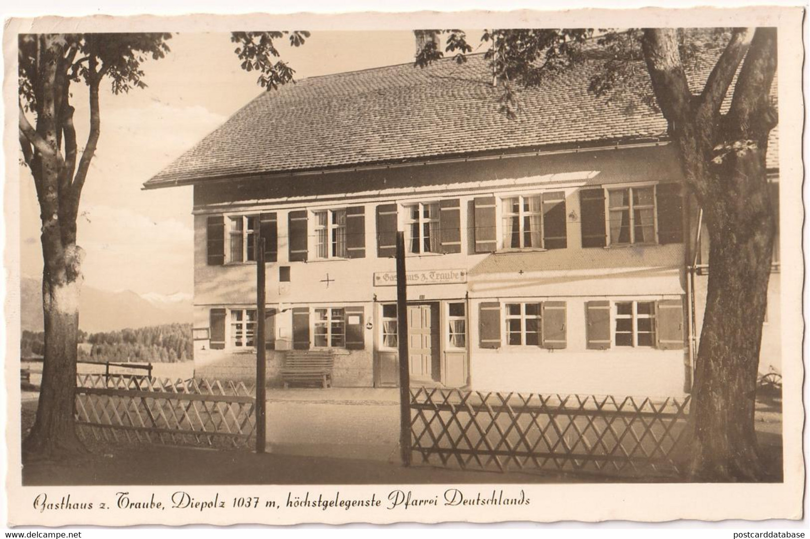 Gasthaus Z. Traube - Diepolz - Diepholz