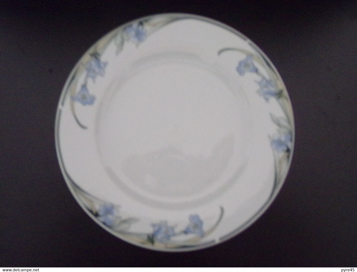 Lot De 10 Assiettes Plates " Sarreguemines " Modèle Vénus - Sarreguemines (FRA)