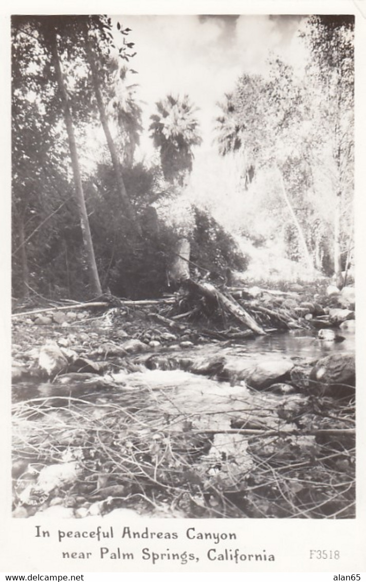 Andreas Canyon Near Palm Springs California, Stream Through Woods C1940s/50s Vintage Real Photo Postcard - Palm Springs