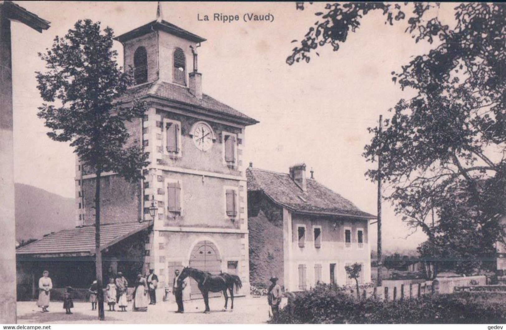 La Rippe VD, Rue Animée (6.7.1908) - La Rippe