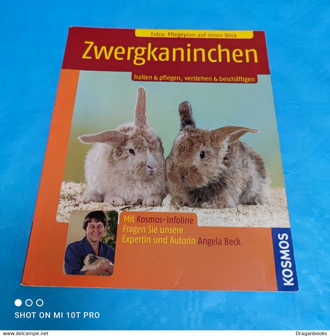 Angela Beck - Zwergkaninchen - Animals