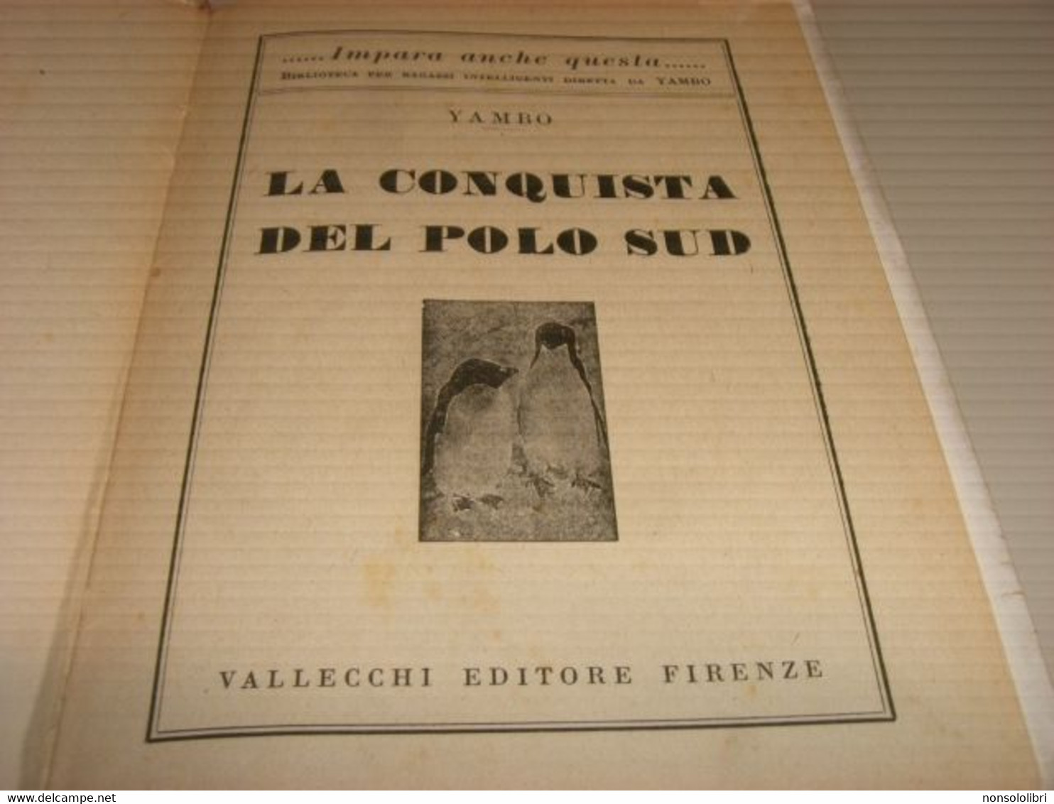 LIBRO ALLA SCOPERTA DEL POLO SUD -YAMBO -VALLECCHI EDIZIONI 1936 - Bambini E Ragazzi