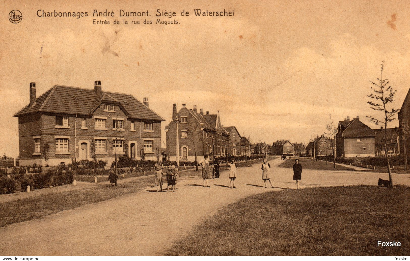 * 11.106 - Waterschei / Genk - Charbonnages André Dumont - Siège De Waterschei - Entrée De La Rue Des Muguets - Gingelom