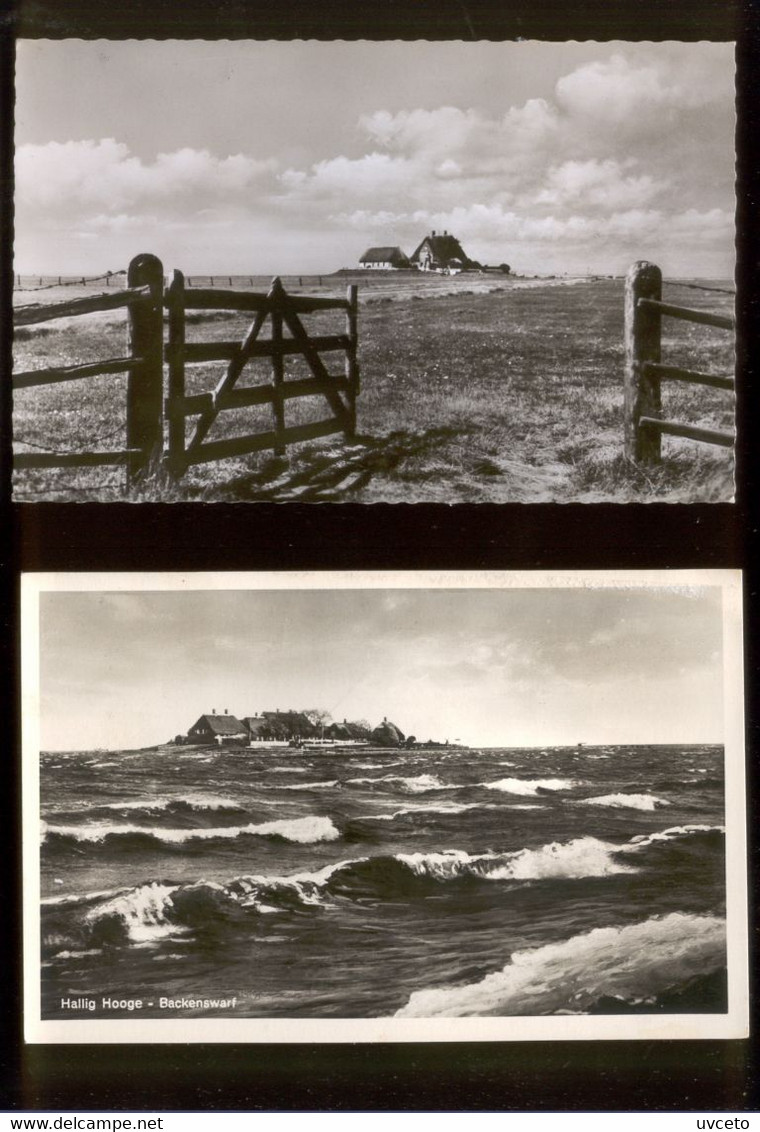 Germany, Schleswig-Holstein, Halligen, Hallig Hooge, Lot Of 2 Postcards C37d - Halligen