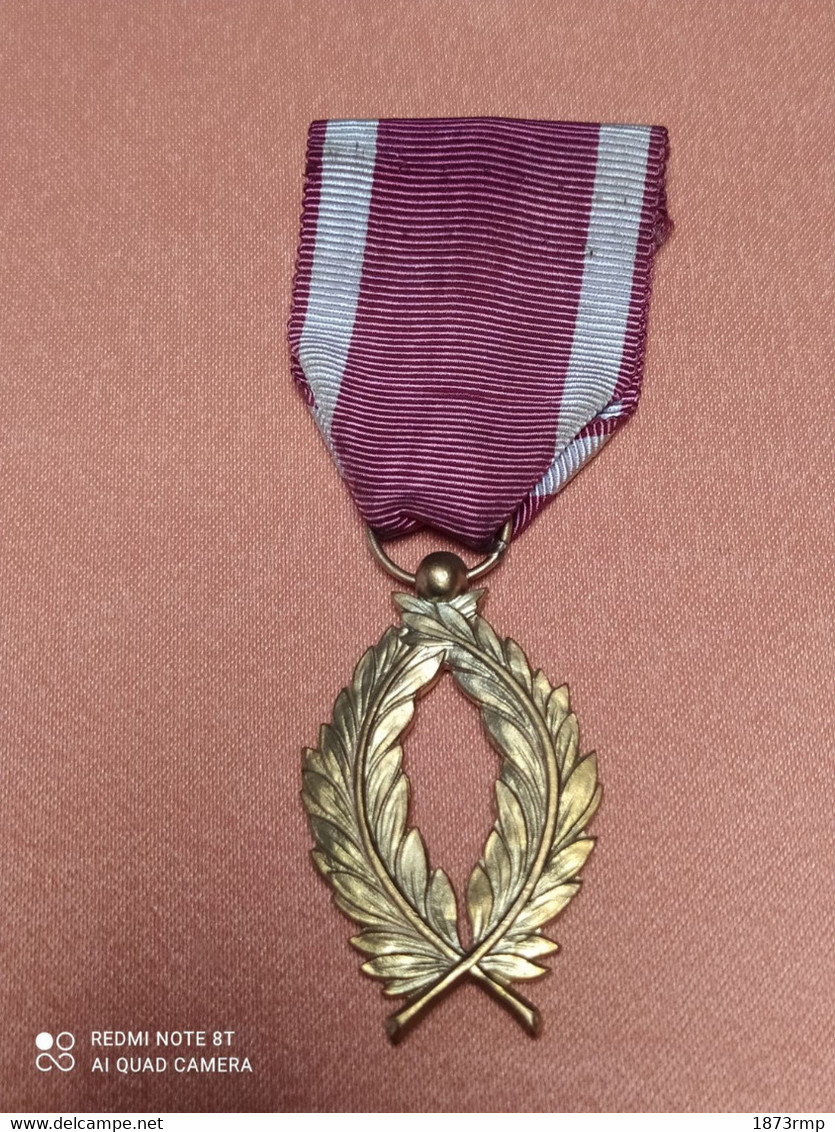 MEDAILLE ORDRE DE LA COURONNE, PALMES "OR", ORDRE COLONIAL, BELGIQUE - Belgio