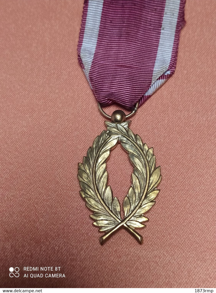 MEDAILLE ORDRE DE LA COURONNE, PALMES "OR", ORDRE COLONIAL, BELGIQUE - Belgique