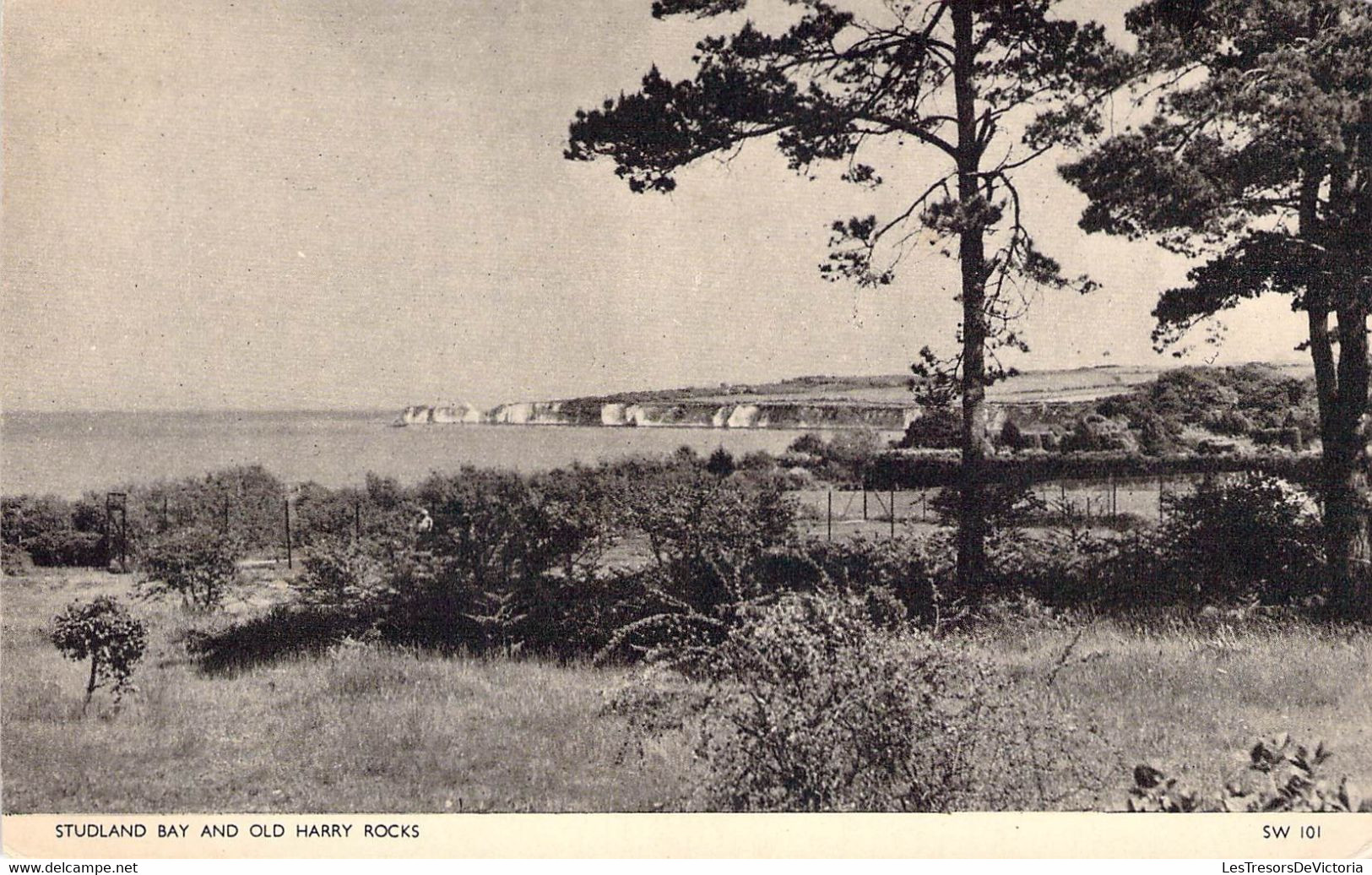 CPA Royaume Uni - Angleterre - Dorset - Purbeck - Studland Bay And Old Harry Rocks - Chrome Series - Jarrold & Sons Ltd. - Autres & Non Classés