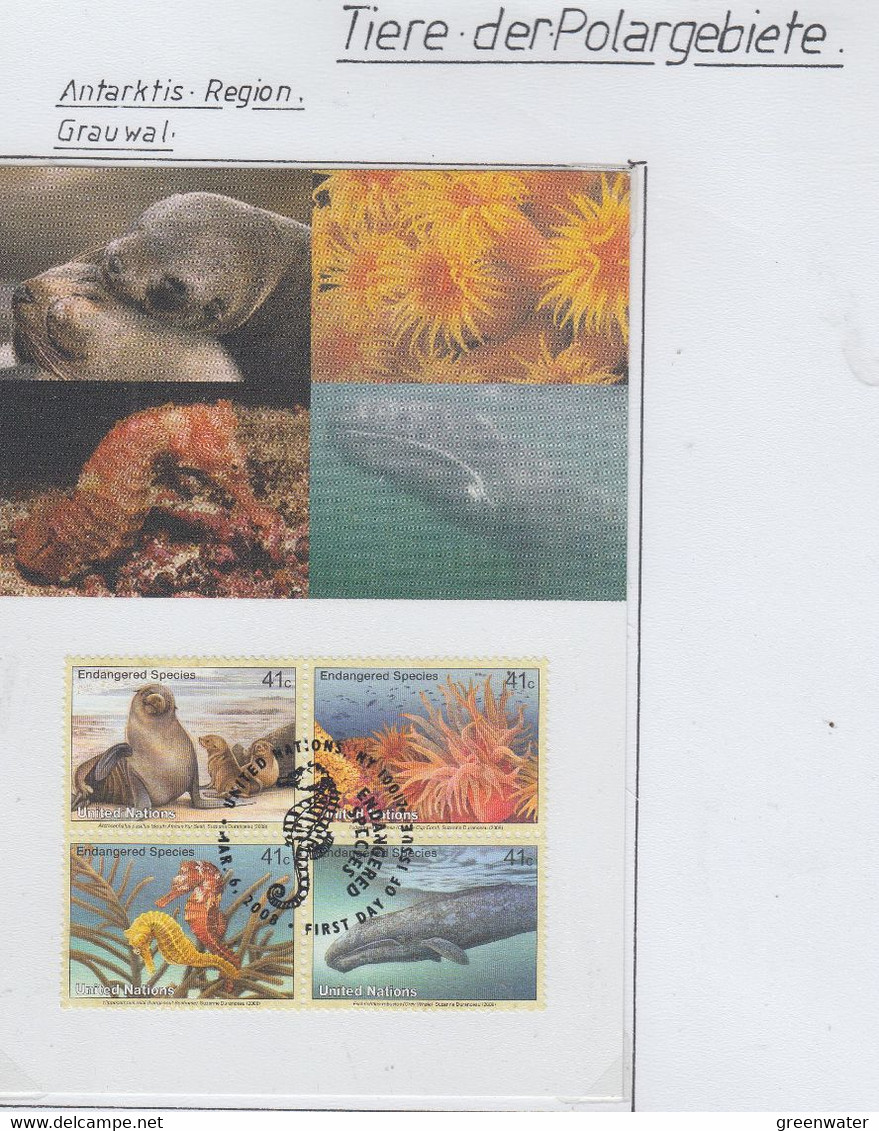 UNO New York Card Endangered Species (Grauwal) 4v Maxicard (XA160) - Faune Antarctique