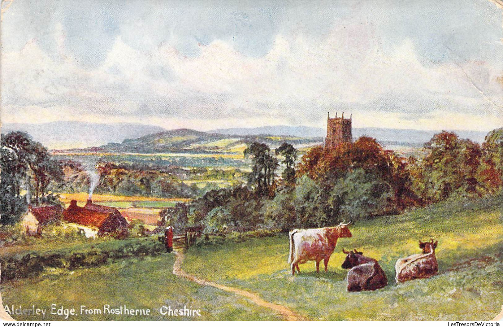 CPA Royaume Uni - Angleterre - Cheshire - Alderley Edge From Rostherne - S. Hildesheimer & Co. Ltd. - Oblitérée 1907 - Autres & Non Classés