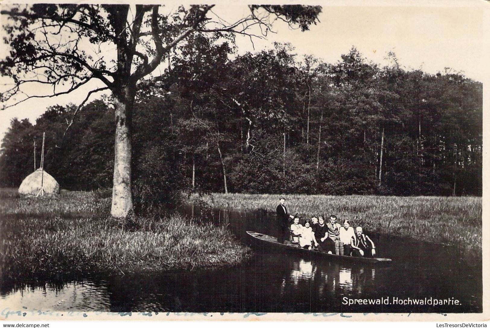 CPA Suisse - Dorneck - Spreewald - Hochwaldpartie - Oblitérée Sommerfrische Burg - Echte Photographie - Animée - Wald