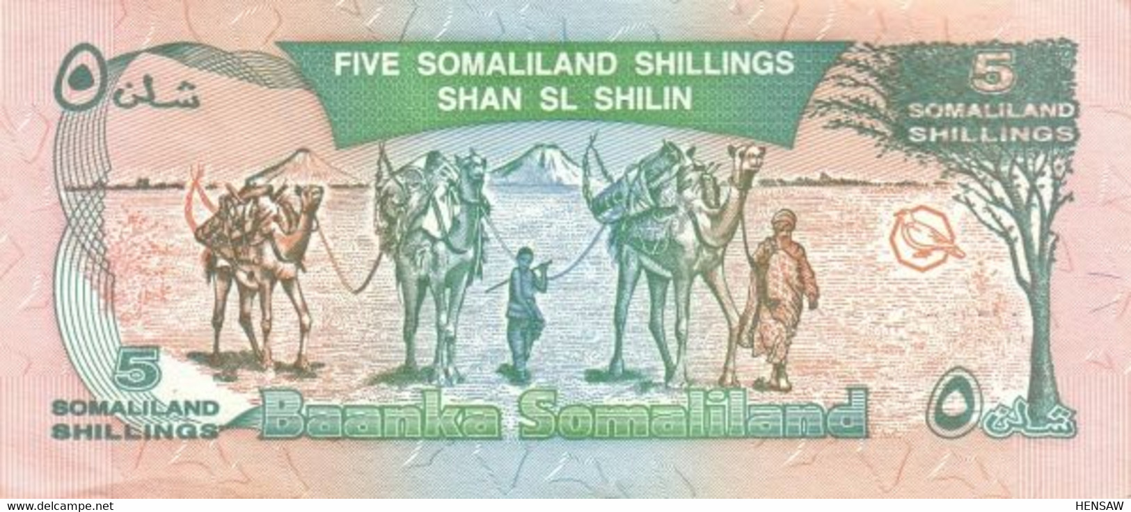 SOMALILAND 5 SHILLINGS 1994 P 1 UNC SC NUEVO - Somalie
