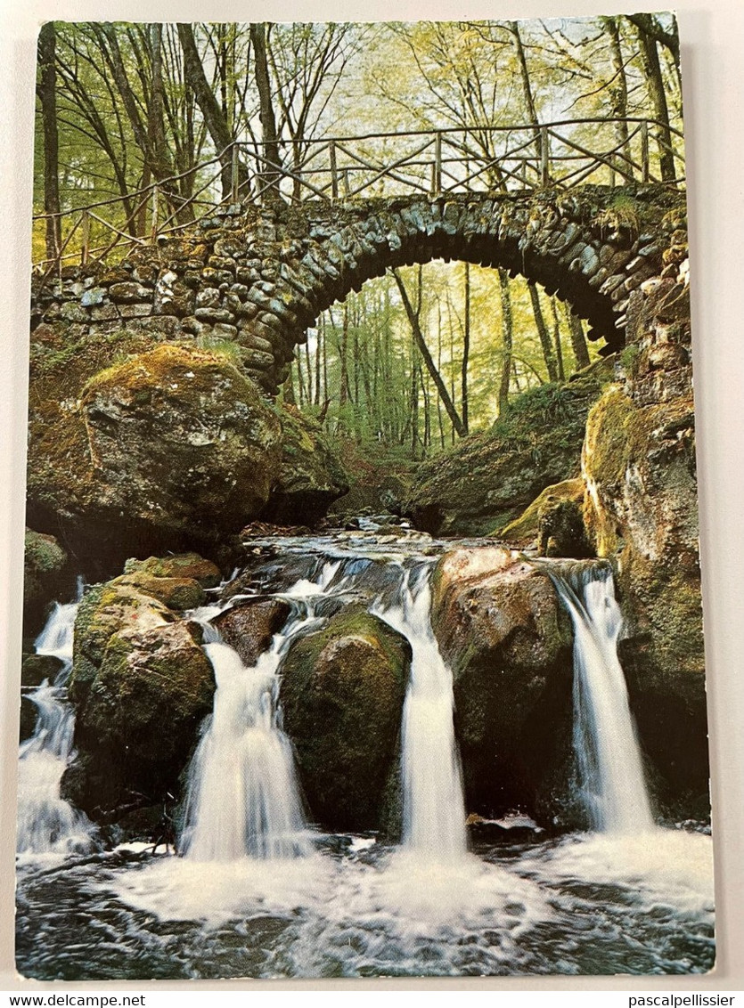 CPM - Pont Dans La Petite Suisse Luxembourgeoise Cascade Du Schiessentümpel Au Müllerthal - Muellerthal