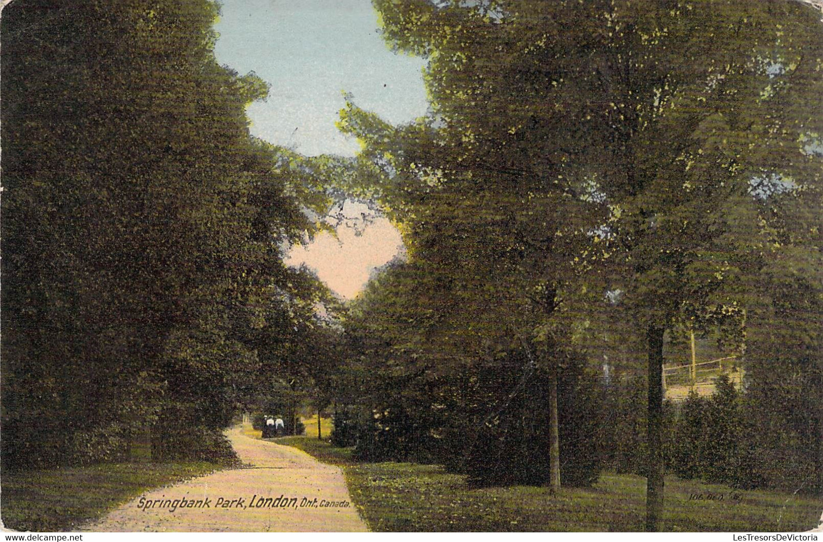 CPA Canada - Ontario - London - Springbank Park - The Valentine's & Sons - Printed In U.S.A. - Colorisée - Nature - Londen