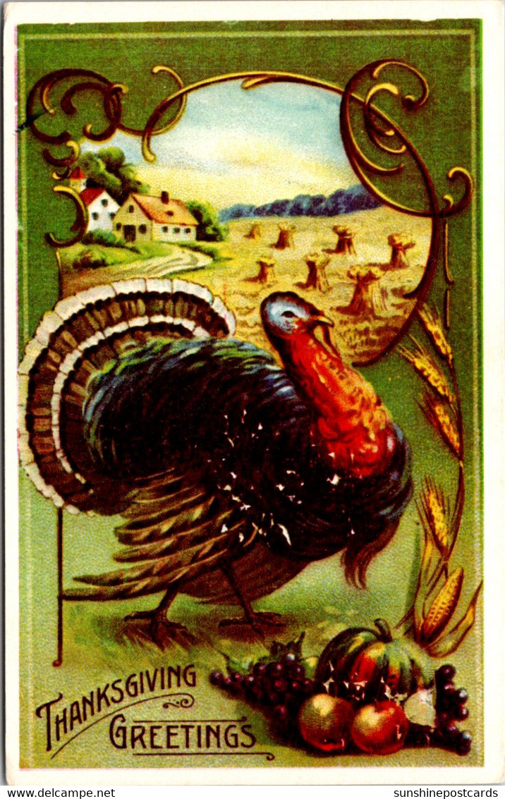 Thanksgiving Greetings With Turkey - Giorno Del Ringraziamento