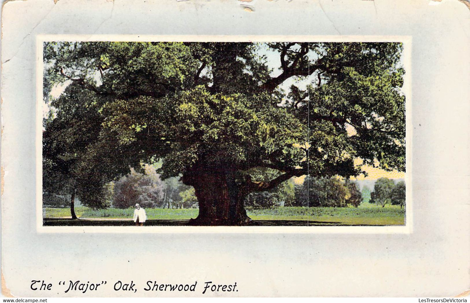 CPA Royaume Uni - Angleterre - Nottinghamshire - Sherwood Forest - The Major Oak - A. & G. Taylor's Orthochrome Series - Otros & Sin Clasificación