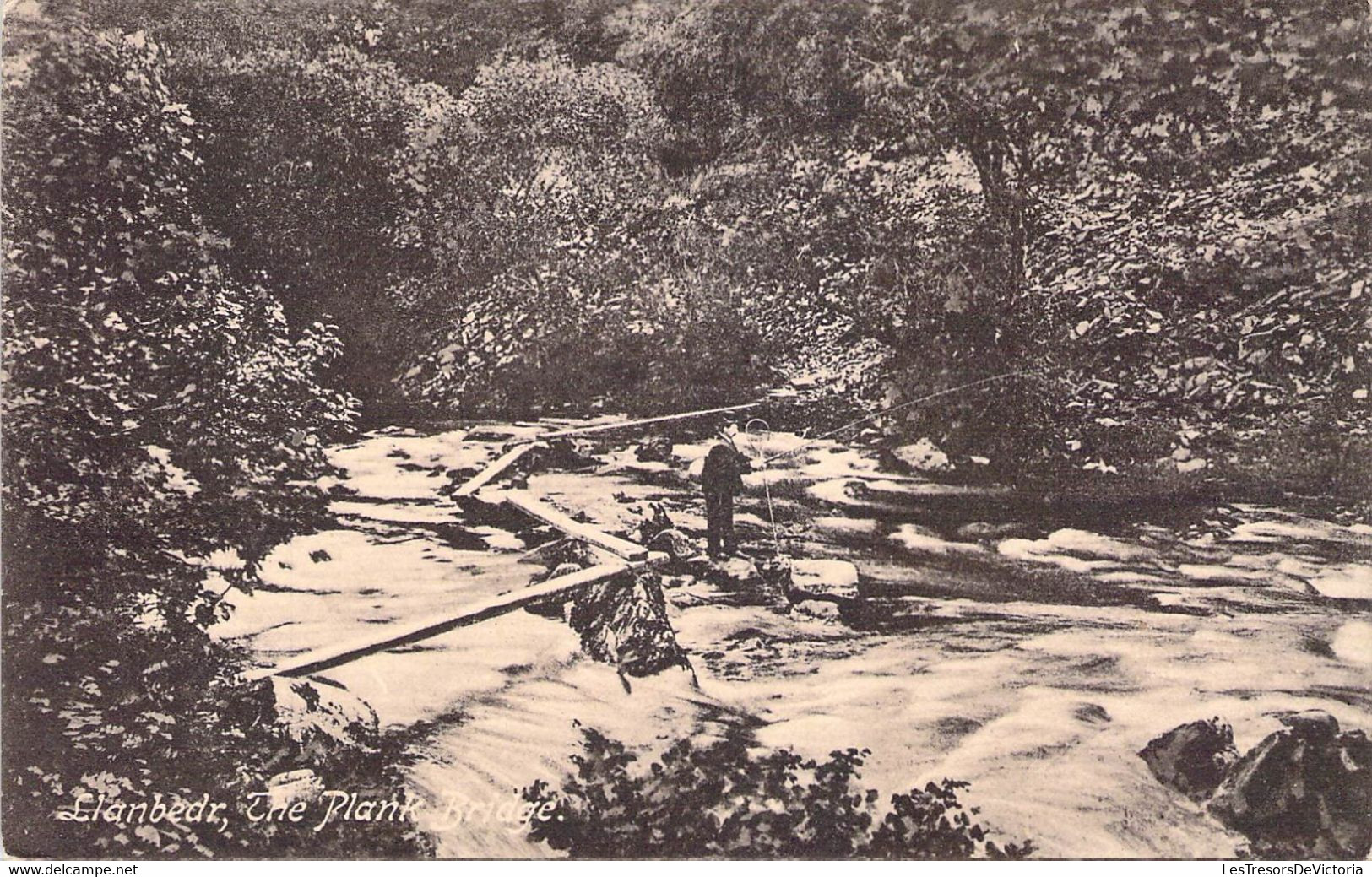 CPA Royaume Uni - Pays De Galles - Gwynedd - Llanbedr - The Plank Bridge - F. Griffiths Draper - Pêcheur - Sonstige & Ohne Zuordnung