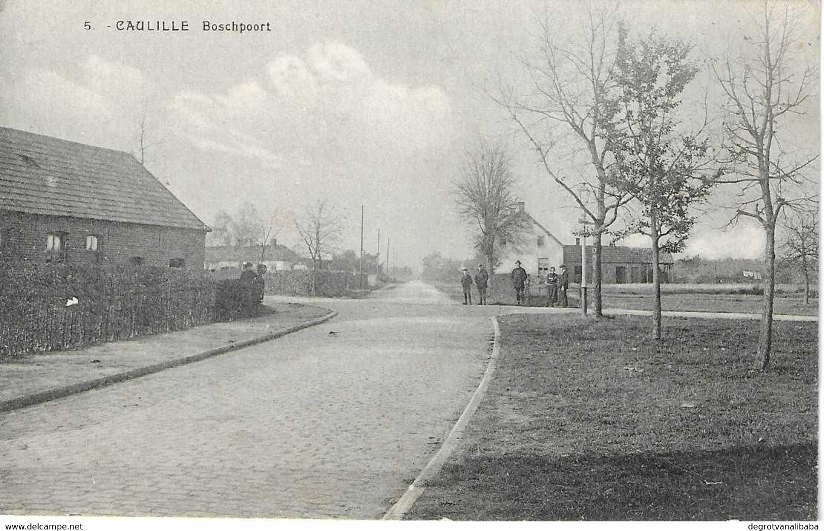 Caulille Boschpoort - Bocholt