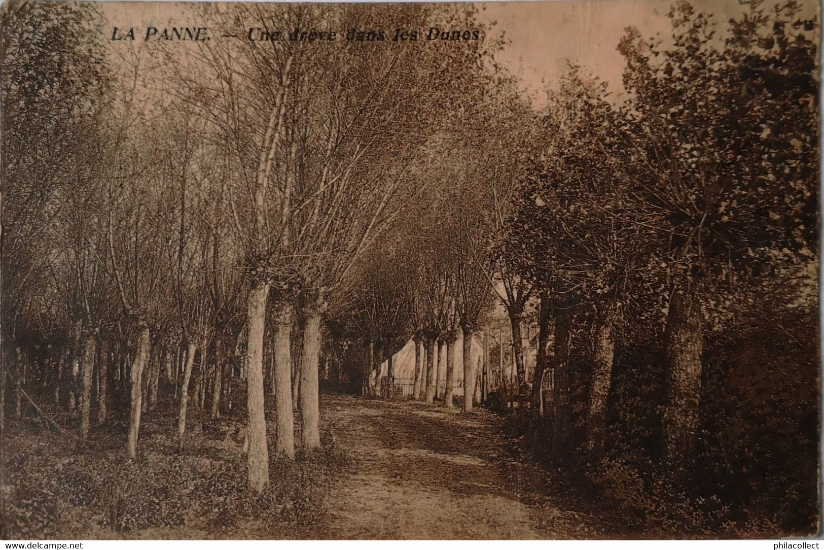 De - La Panne / Une Dreve Dans Les Dunes 1906 - De Panne