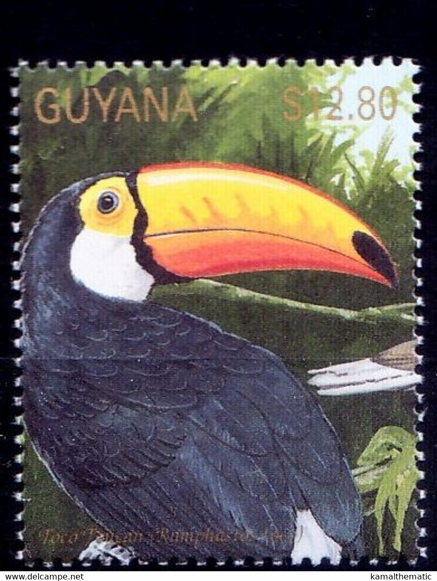 Common Toucan, Giant Toucan, Toco Toucan, Birds, Guyana 1990 MNH - Cuculi, Turaco