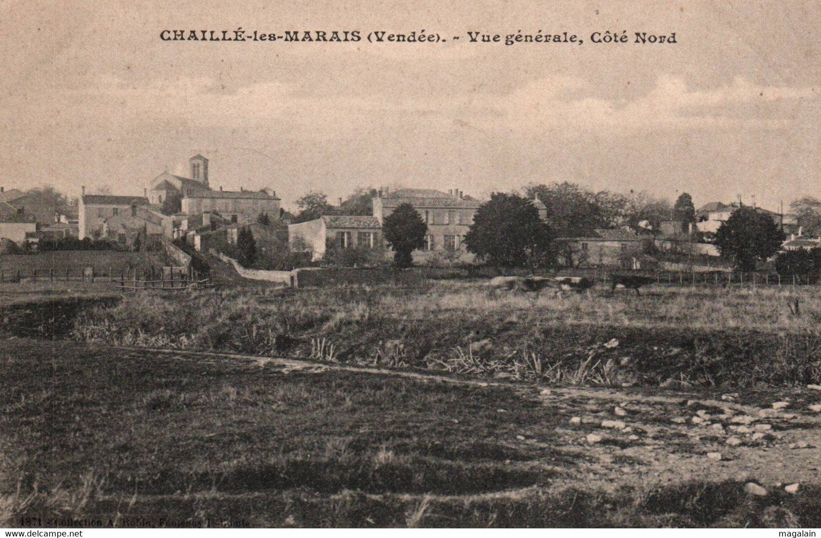 Chaillé Les Marais : Vue Générale, Côté Nord - Chaille Les Marais