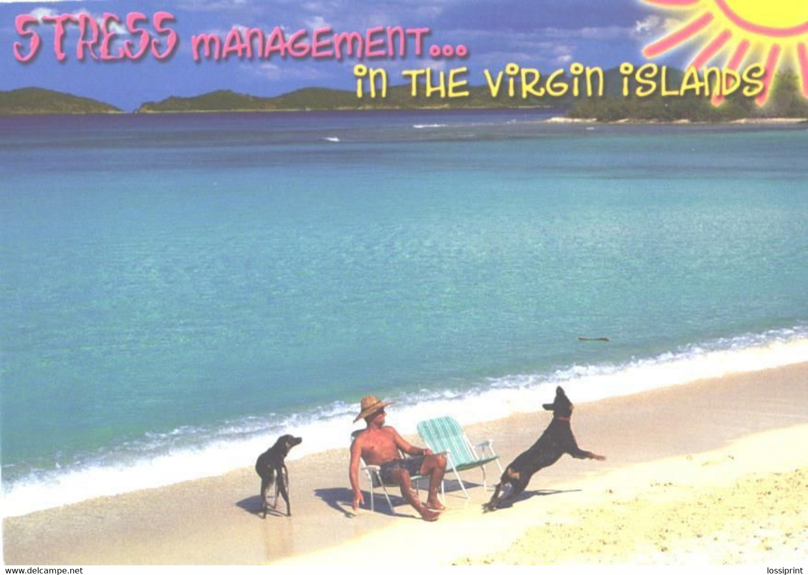 British Virgin Island:Resting Man With Dogs - Britse Maagdeneilanden