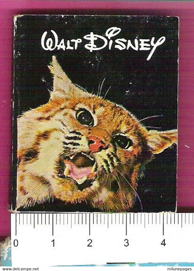 Mini Livre Walt Disney Désert Vivant Animaux Du Désert Et Citation D'écrivains Format Ultra Mini 4.5x5 Cm. - Disney