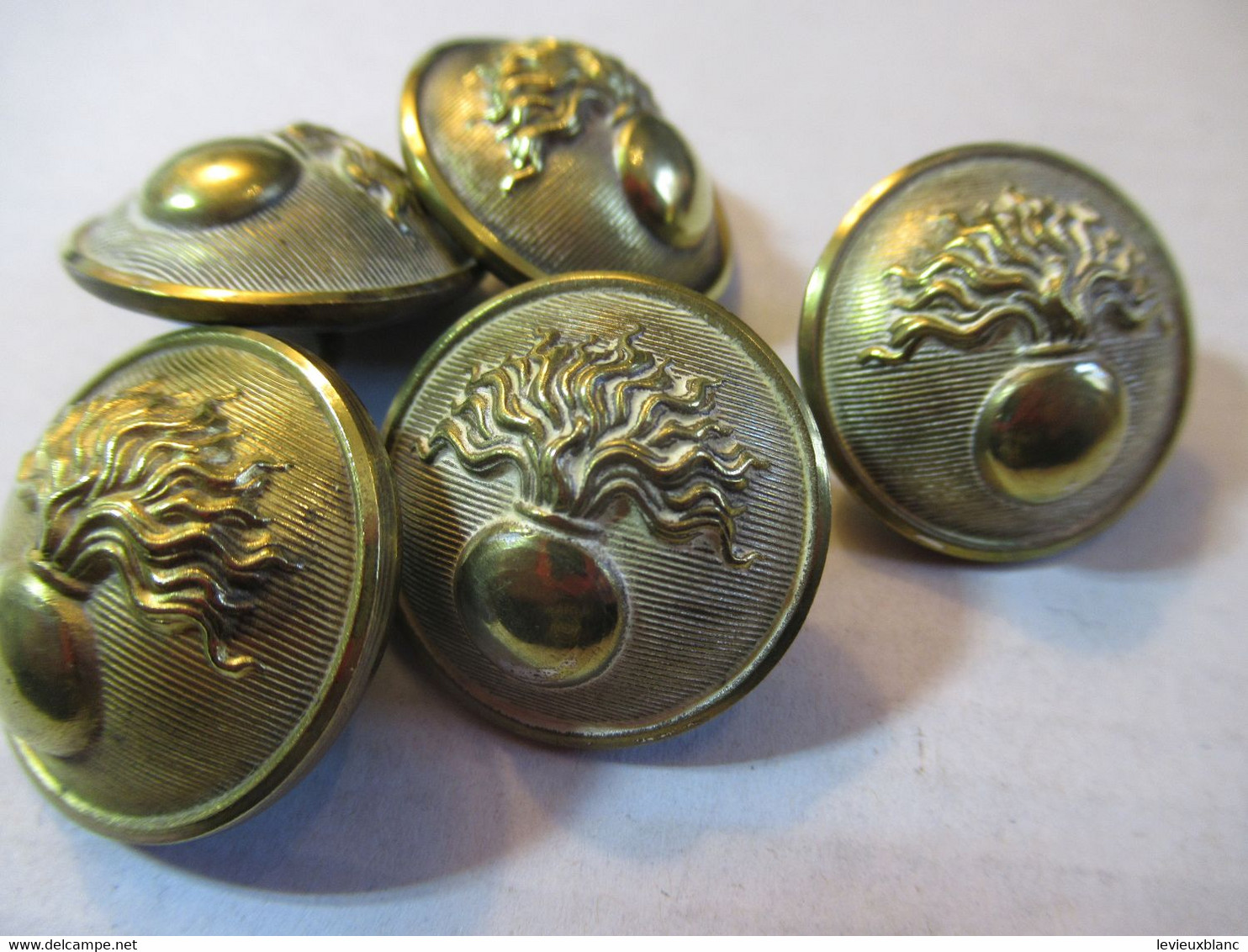 5  Boutons Anciens D'uniforme/Militaria/Grenade éclatant/Laiton Poli/24 Et 23 M-m/ Début XXème   BOUT149 - Buttons