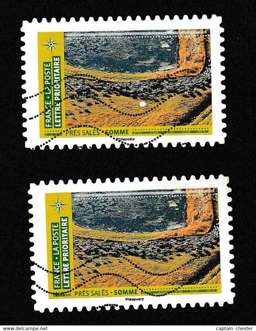 SOMME MOUTONS ET PRES SALES - Autoadhésif N° 1952 De 2021 - BELLE VARIETE - ANNEAU LUNE - Used Stamps