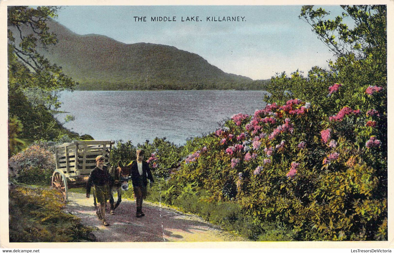 CPA Irlande - Kerry - Killarney - The Middle Lake - E. T. W. Dennis & Sons - Dennis Productions - Oblitérée - Animée - Kerry