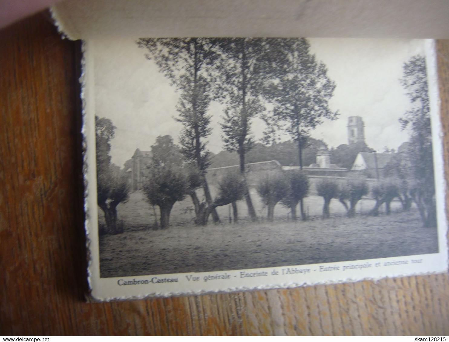 Superbe album avec 13 cartes postales de CAMBRON Casteau ( Brugelette ) en excellent état ( très rare )