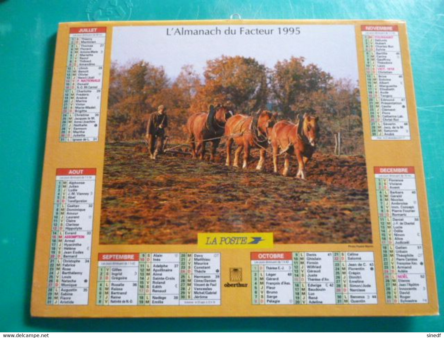 Calendrier Oberthur  1995   Campagne Labour Attelage 3 Chevaux Foins Bœufs  Almanach  Facteur Sarthe  PTT POSTE - Grand Format : 1991-00