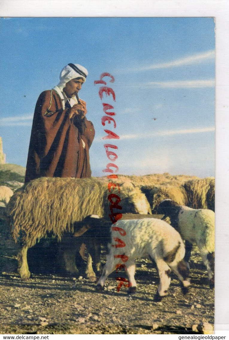 JORDANIE - JORDAN- A SHEPHERD - Jordan