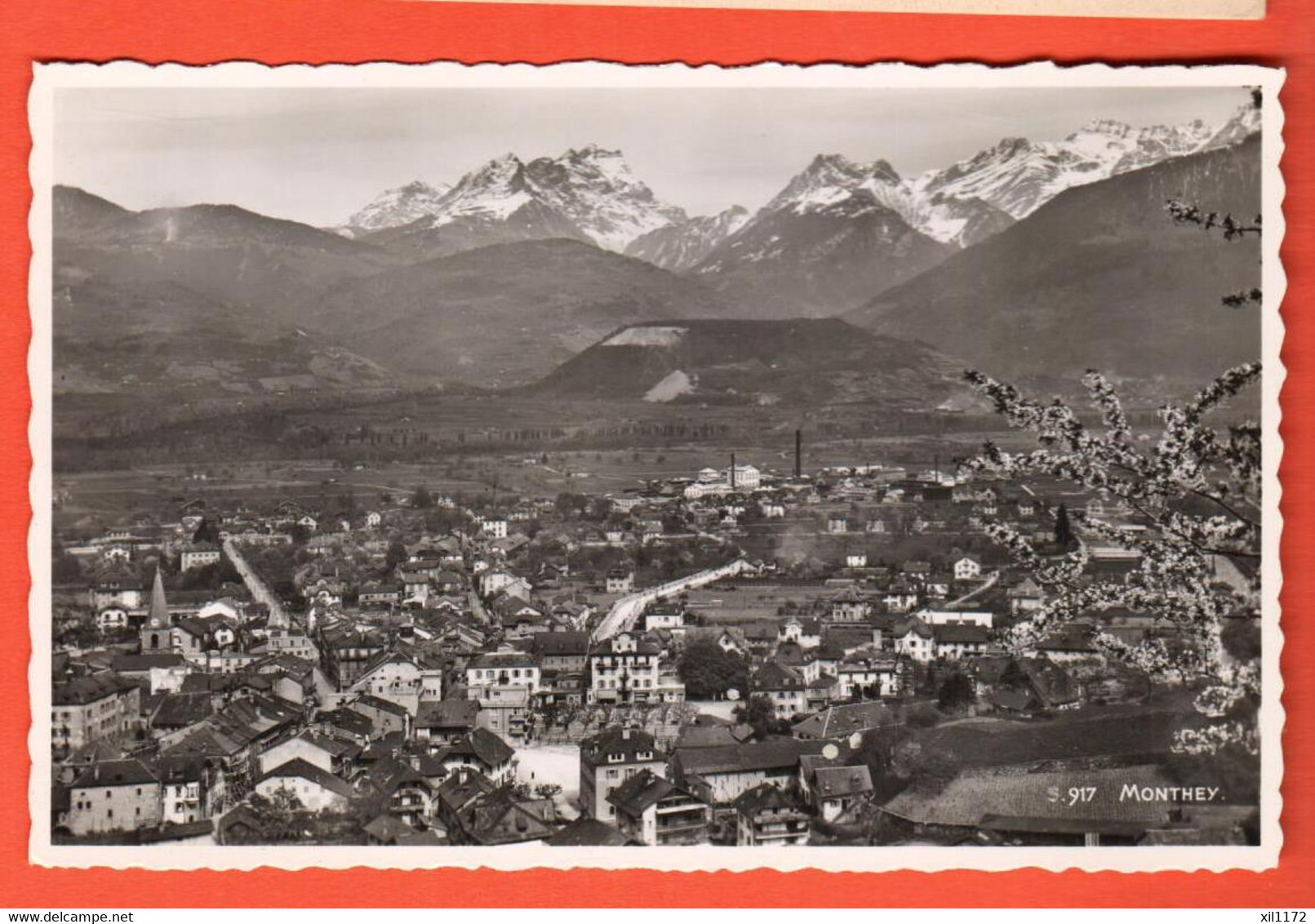 Vaqa-17 Monthey, Vue Générale Avec Les Diablerets, Abricotier En Fleurs Au Premier Plan.VISA ACF 1939, NC Perrochet 917 - Monthey