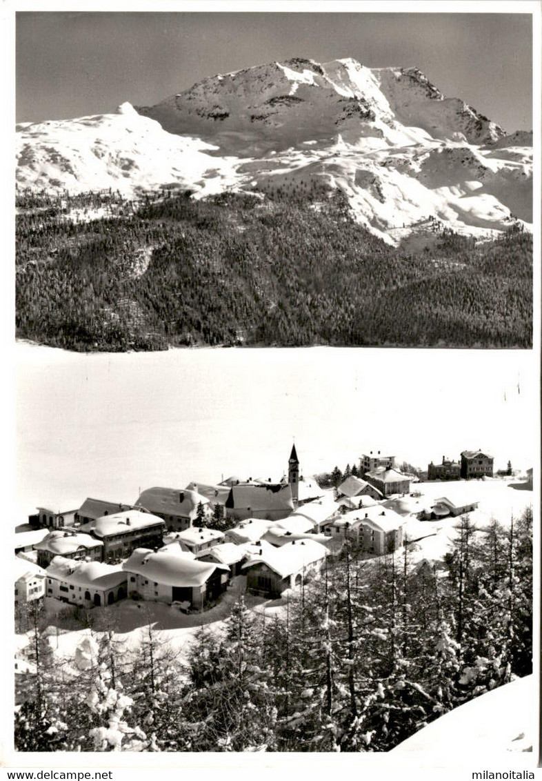 Silvaplana, Oberengadin Mit Piz Corvatsch (1103) * 27. 2. 1964 - Silvaplana