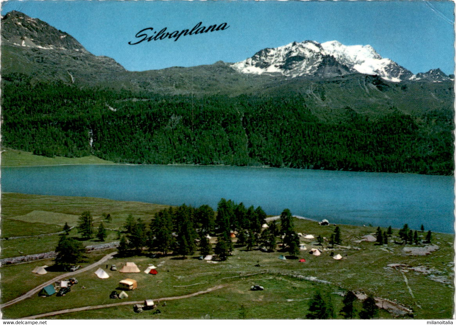 Silvaplana, Oberengadin - Campingplatz (31) * 13. 7. 1963 - Silvaplana