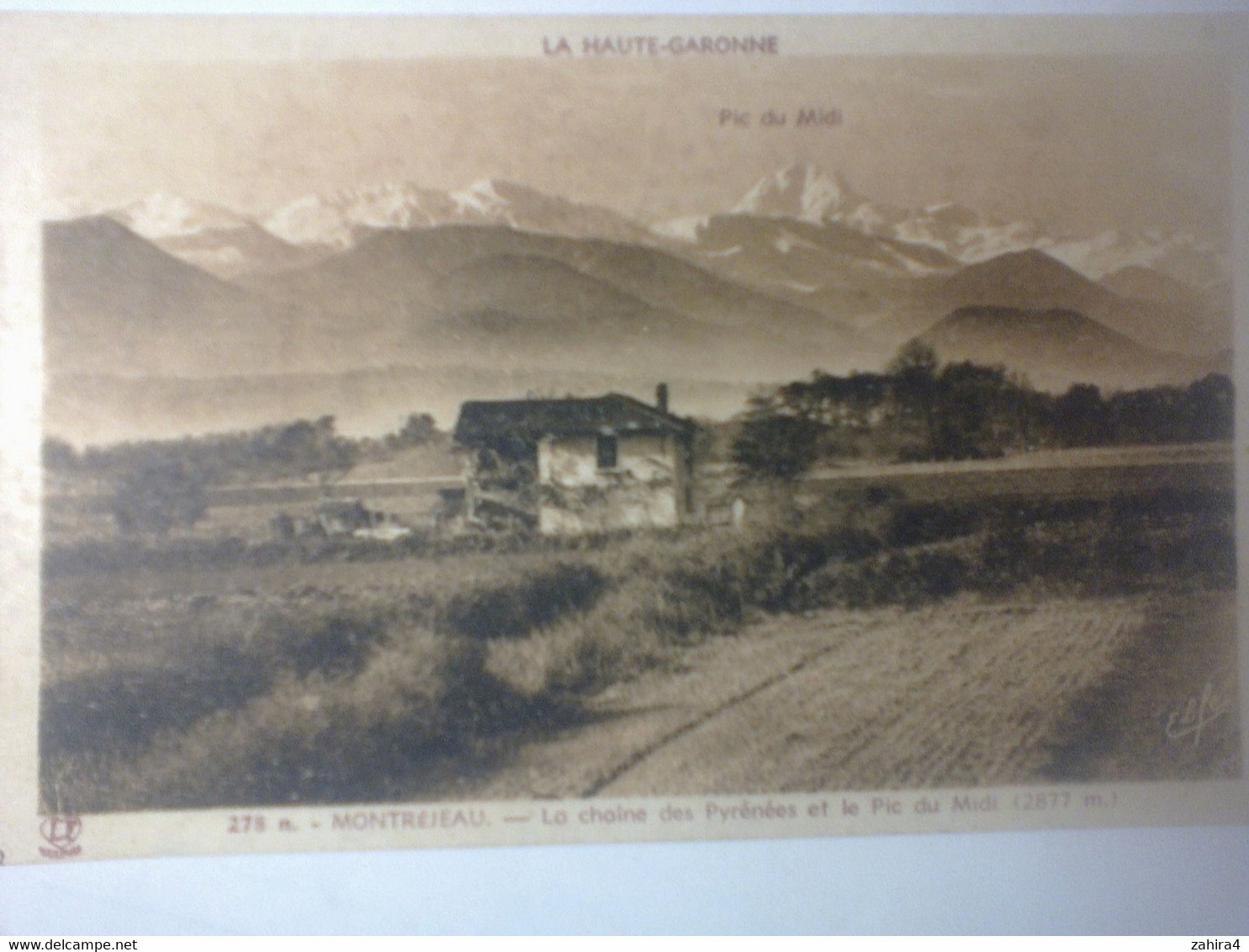 278 N. - Montrejeau - La Chaine Des Pyrénées & Le Pic Du Midi - LF Toulouse Elfe - Montastruc-la-Conseillère