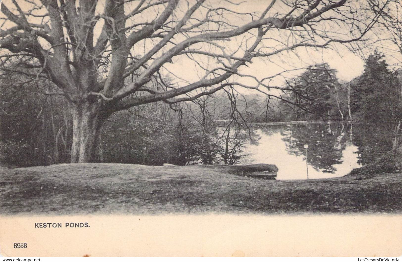 CPA Royaume Uni - Angleterre - Kent - Keston Ponds - Park - Lac - Etang - Arbre - Postcard Gt. Britain & Ireland - Other & Unclassified